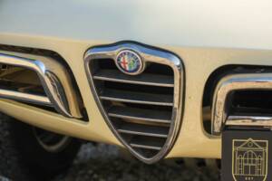 Image 35/50 of Alfa Romeo 1600 Duetto (1967)