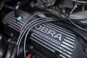 Bild 47/50 von Ford Shelby GT 350 (1968)