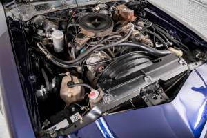 Image 45/50 of Chevrolet Camaro (1979)