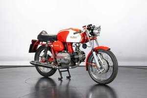 Immagine 6/50 di Aermacchi Ala Verde (1964)