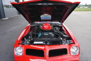 Bild 36/64 von Pontiac Firebird TransAm (1976)