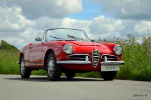 Bild 2/21 von Alfa Romeo Giulia 1600 Spider (1964)