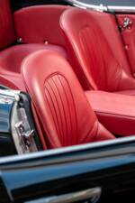 Image 43/50 of Austin-Healey 3000 Mk II (BN7) (1962)