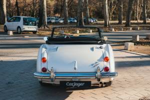 Bild 18/44 von Austin-Healey 3000 Mk III (BJ8) (1966)