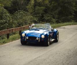 Bild 2/11 von Unique Motorcars 289 FIA Cobra Replica (1989)