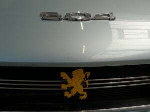 Image 35/43 of Peugeot 504 Convertible (1971)