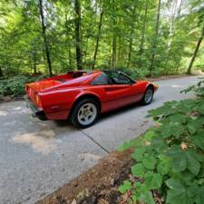 Immagine 4/82 di Ferrari 308 GTS Quattrovalvole (1983)