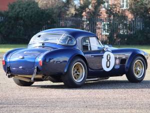 Image 10/19 de AC Cobra 289 (1964)