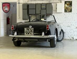 Afbeelding 9/98 van Alfa Romeo Giulietta Spider Veloce (1958)