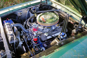 Image 19/58 of Ford Mustang 289 (1965)