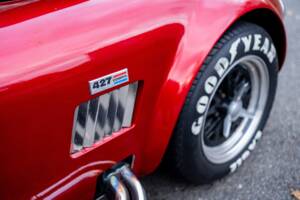 Afbeelding 35/50 van AC Cobra 289 (2000)