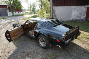Afbeelding 19/69 van Pontiac Firebird TransAm (1979)