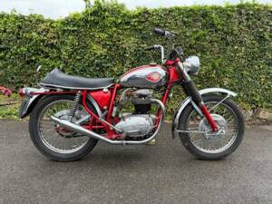 Imagen 1/45 de BSA A 65 Thunderbolt (1969)