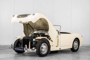 Bild 44/50 von Austin-Healey Sprite Mk I (1958)