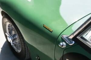 Image 34/50 of Austin-Healey Sprinzel Sebring Sprite (1958)
