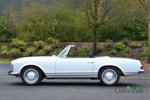 Image 2/50 of Mercedes-Benz 250 SL (1966)
