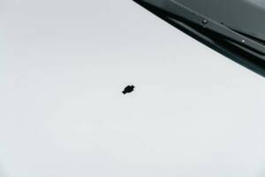 Bild 27/50 von Nissan Skyline GT-R V-Spec II (1993)