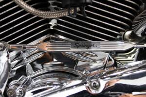 Immagine 50/50 di Harley-Davidson FXSTS Softail Springer (2000)