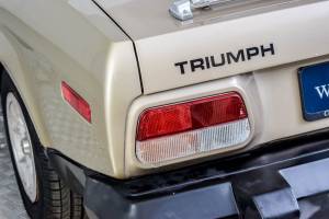Immagine 14/50 di Triumph TR 8 (1980)