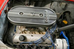 Afbeelding 15/23 van AC Ace (1959)