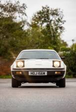 Image 9/50 of Triumph TR 7 Europa (1981)