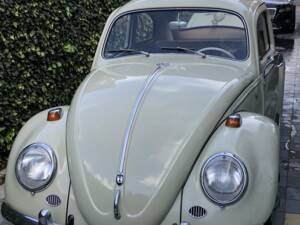Image 5/8 of Volkswagen Beetle 1200 Export "Dickholmer" (1960)