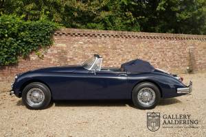 Bild 21/50 von Jaguar XK 150 DHC (1957)
