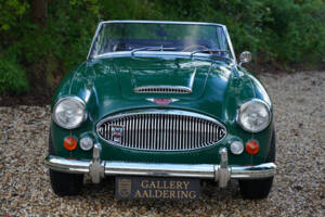 Imagen 23/50 de Austin-Healey 3000 Mk III (BJ8) (1967)
