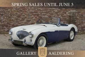Bild 1/50 von Austin-Healey 100/4 (BN1) (1954)