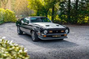 Immagine 9/48 di Ford Mustang Boss 351 (1970)