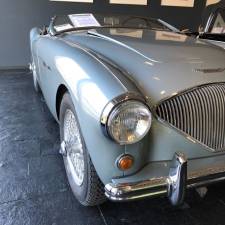 Image 1/49 of Austin-Healey 100&#x2F;4 (BN1) (1954)