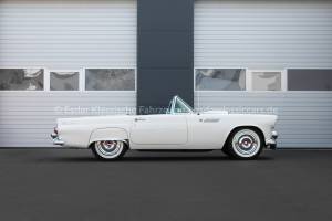Image 4/40 of Ford Thunderbird (1955)