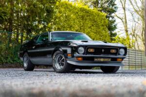 Immagine 1/48 di Ford Mustang Boss 351 (1970)