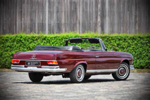 Immagine 5/71 di Mercedes-Benz 220 SE b (1961)