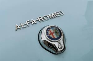 Bild 10/37 von Alfa Romeo Giulia 1600 Spider Veloce (1965)