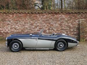 Image 1/42 de Austin-Healey 100&#x2F;4 (BN1) (1955)