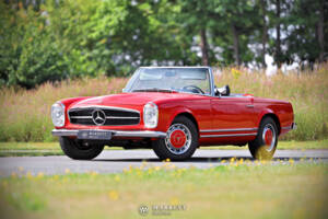 Image 1/70 de Mercedes-Benz 280 SL (1969)