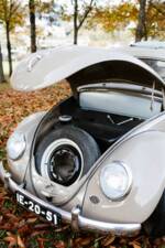 Immagine 17/56 di Volkswagen Maggiolino 1100 Standard "Ovali" (1954)