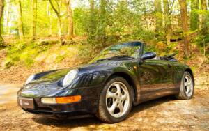 Immagine 13/47 di Porsche 911 Carrera (1994)