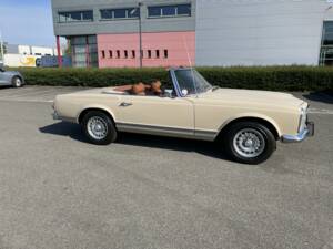 Immagine 16/50 di Mercedes-Benz 280 SL (1969)