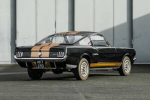 Image 4/38 of Ford Shelby GT 350H (1966)