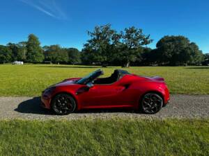 Bild 9/47 von Alfa Romeo 4C Spider (2015)