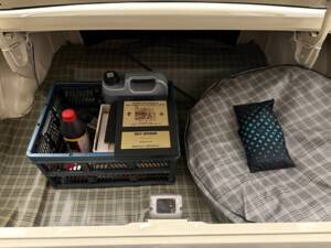 Bild 16/16 von Ford Mustang 289 (1966)