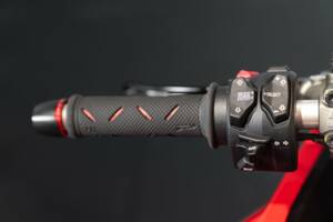 Immagine 23/45 di Ducati DUMMY (2019)