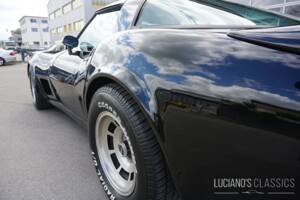 Image 21/58 de Chevrolet Corvette Sting Ray (1979)