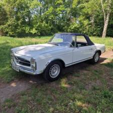 Image 9/100 of Mercedes-Benz 250 SL (1967)