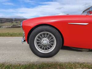 Imagen 24/24 de Austin-Healey 100/4 (BN1) (1955)