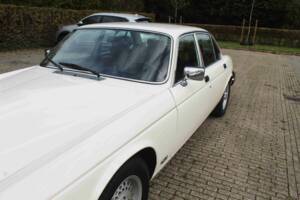 Bild 19/68 von Jaguar XJ 6 4.2 (1985)