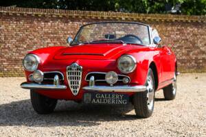 Bild 10/50 von Alfa Romeo Giulia 1600 Spider Veloce (1965)