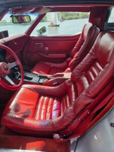 Bild 15/37 von Chevrolet Corvette 5.0L (1979)